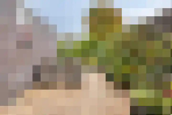 Hertenlaan 51 Assen thumbnail 35