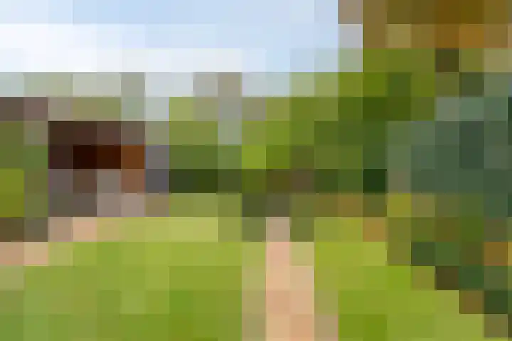 Hertenlaan 51 Assen thumbnail 36