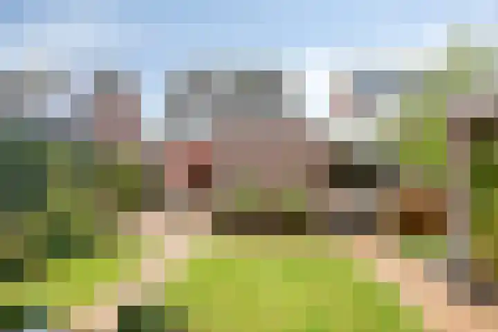 Hertenlaan 51 Assen thumbnail 40