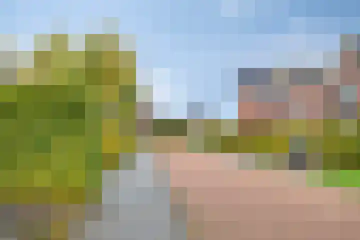Hertenlaan 51 Assen thumbnail 42