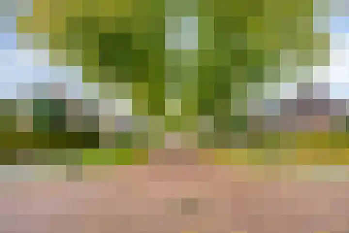 Hertenlaan 51 Assen thumbnail 44