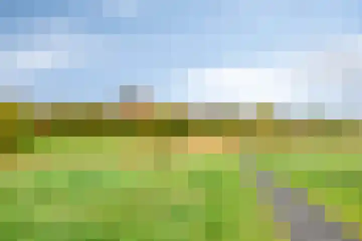 Hertenlaan 51 Assen thumbnail 46