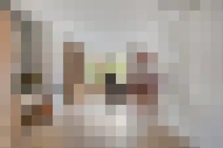Hertenlaan 51 Assen thumbnail 6