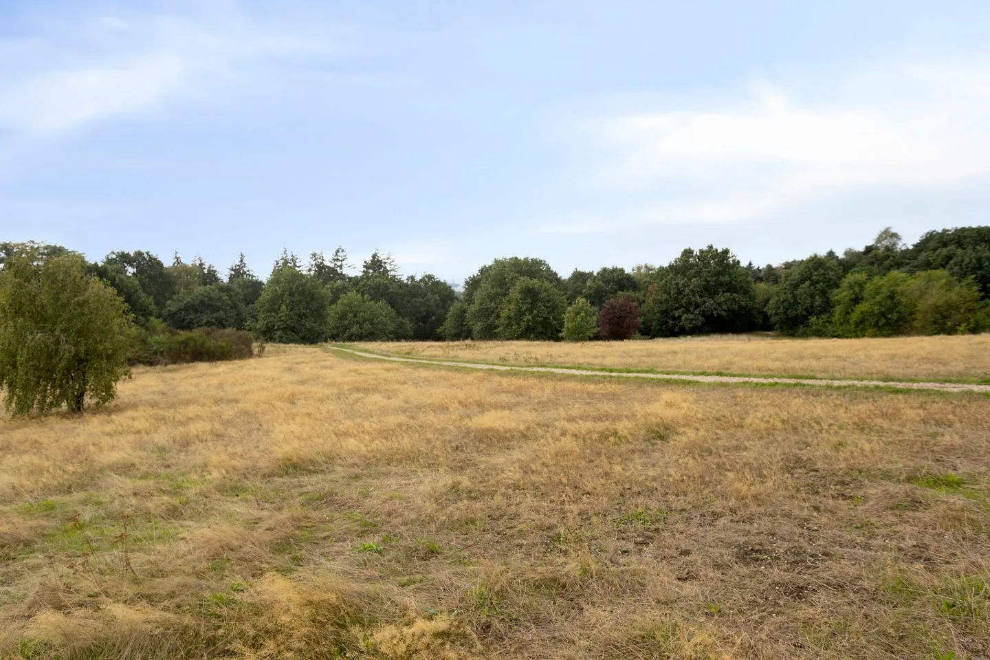 Hertenlaan 54 Arnhem thumbnail 23