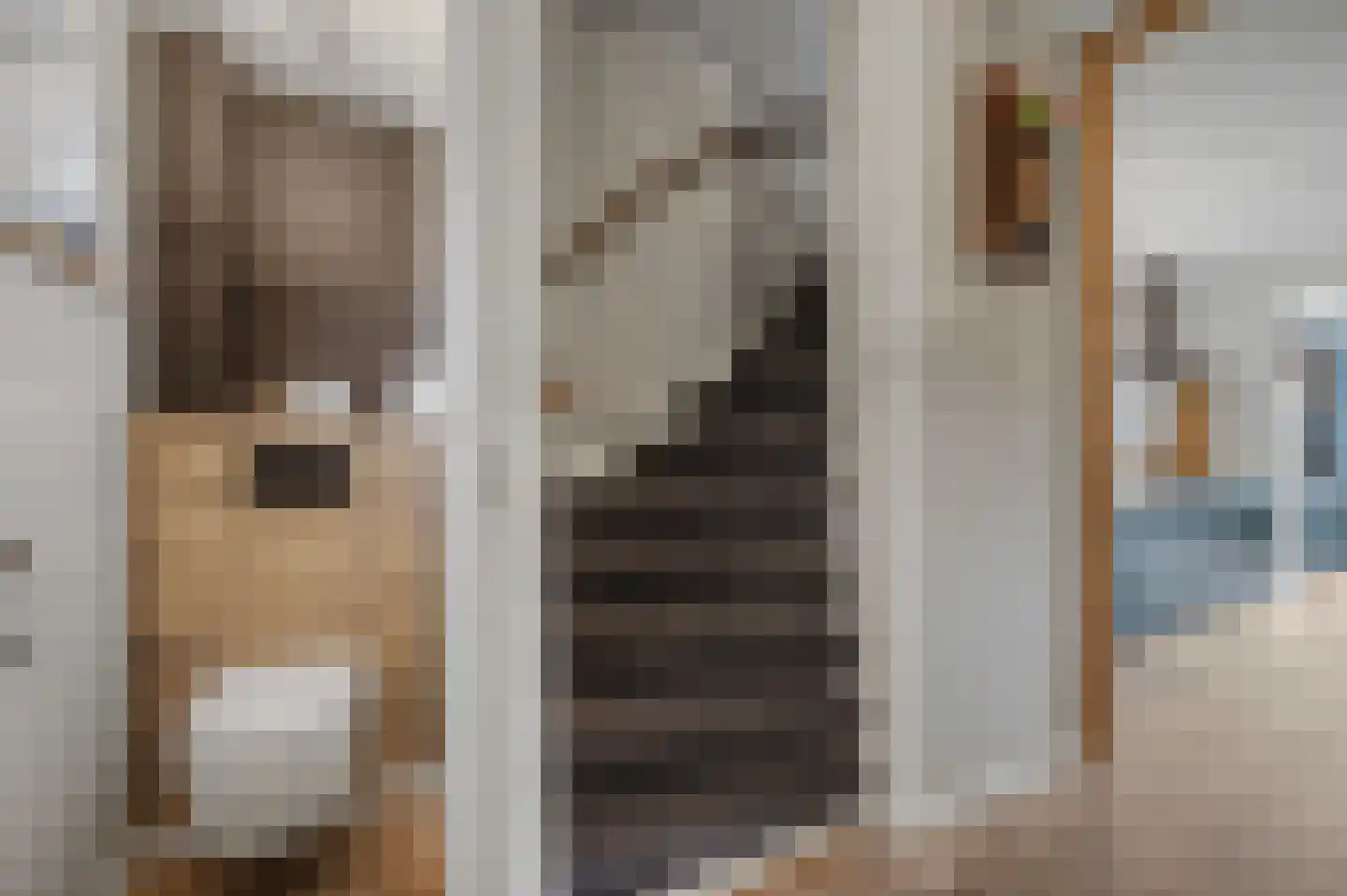 Hertenlaan 6 Hoeven thumbnail 11