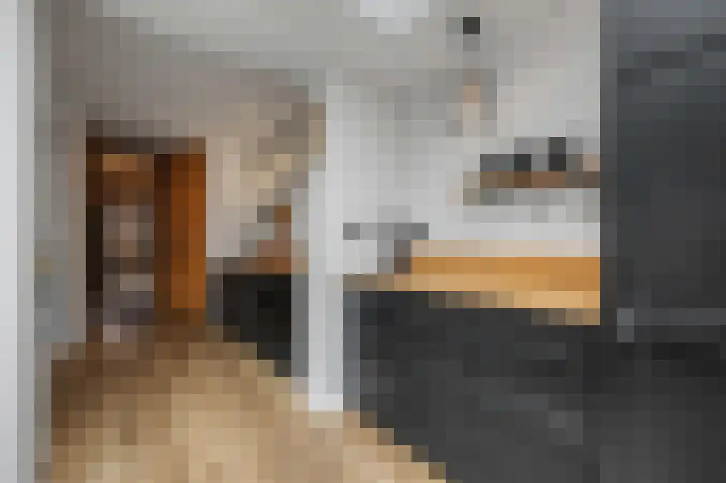 Hertenlaan 6 Hoeven thumbnail 14