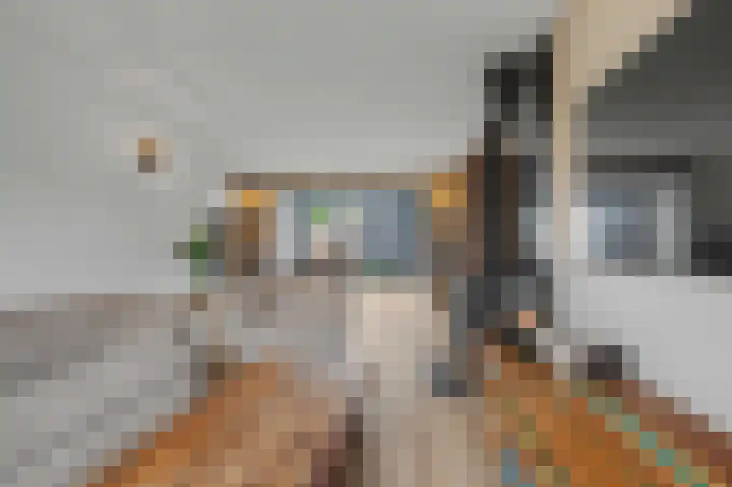 Hertenlaan 6 Hoeven thumbnail 16
