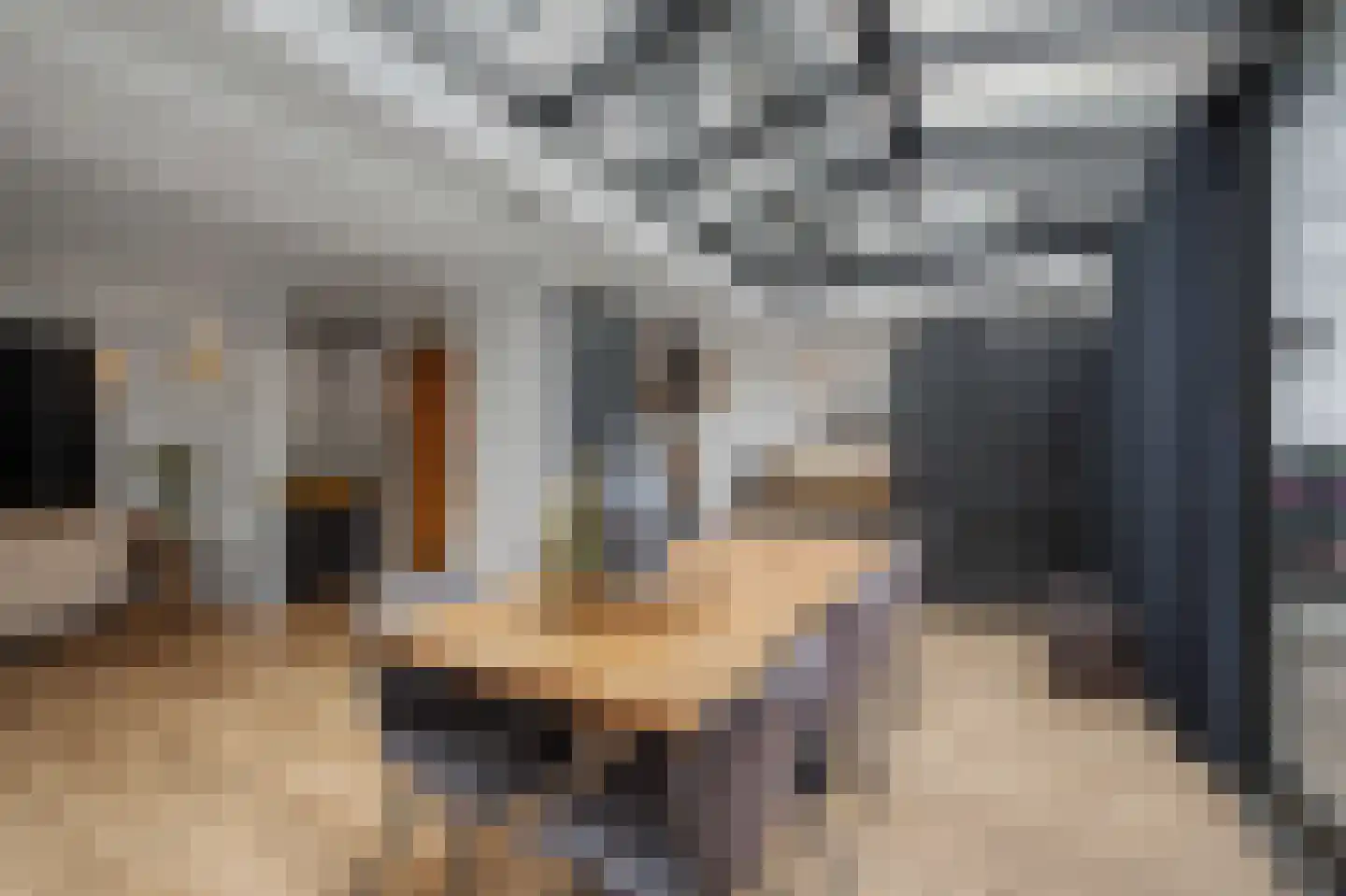Hertenlaan 6 Hoeven thumbnail 19