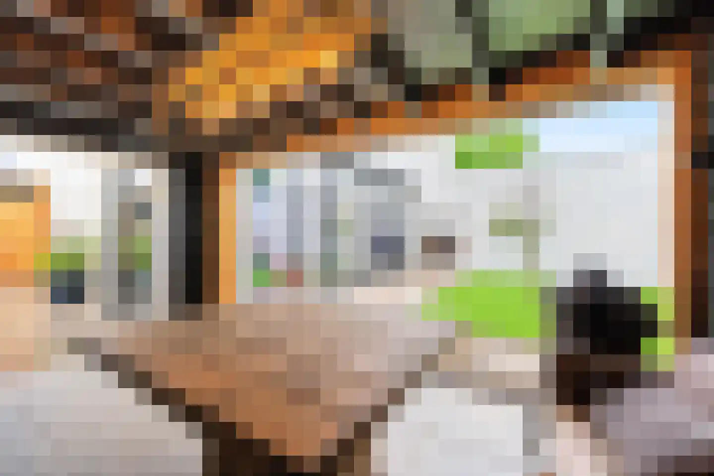 Hertenlaan 6 Hoeven thumbnail 25