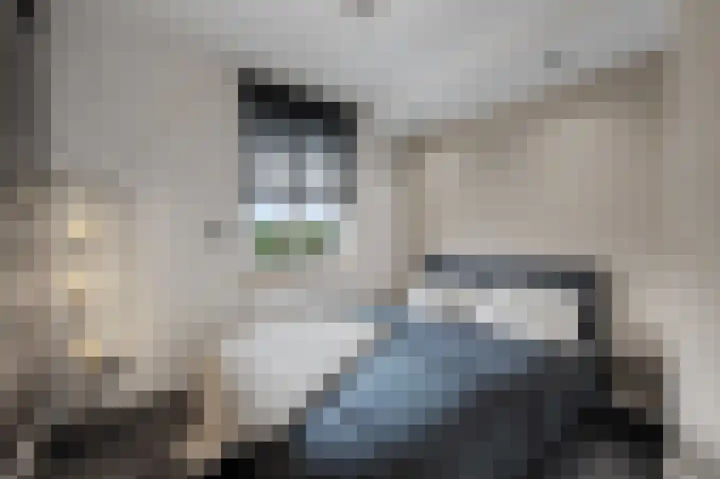 Hertenlaan 6 Hoeven thumbnail 27