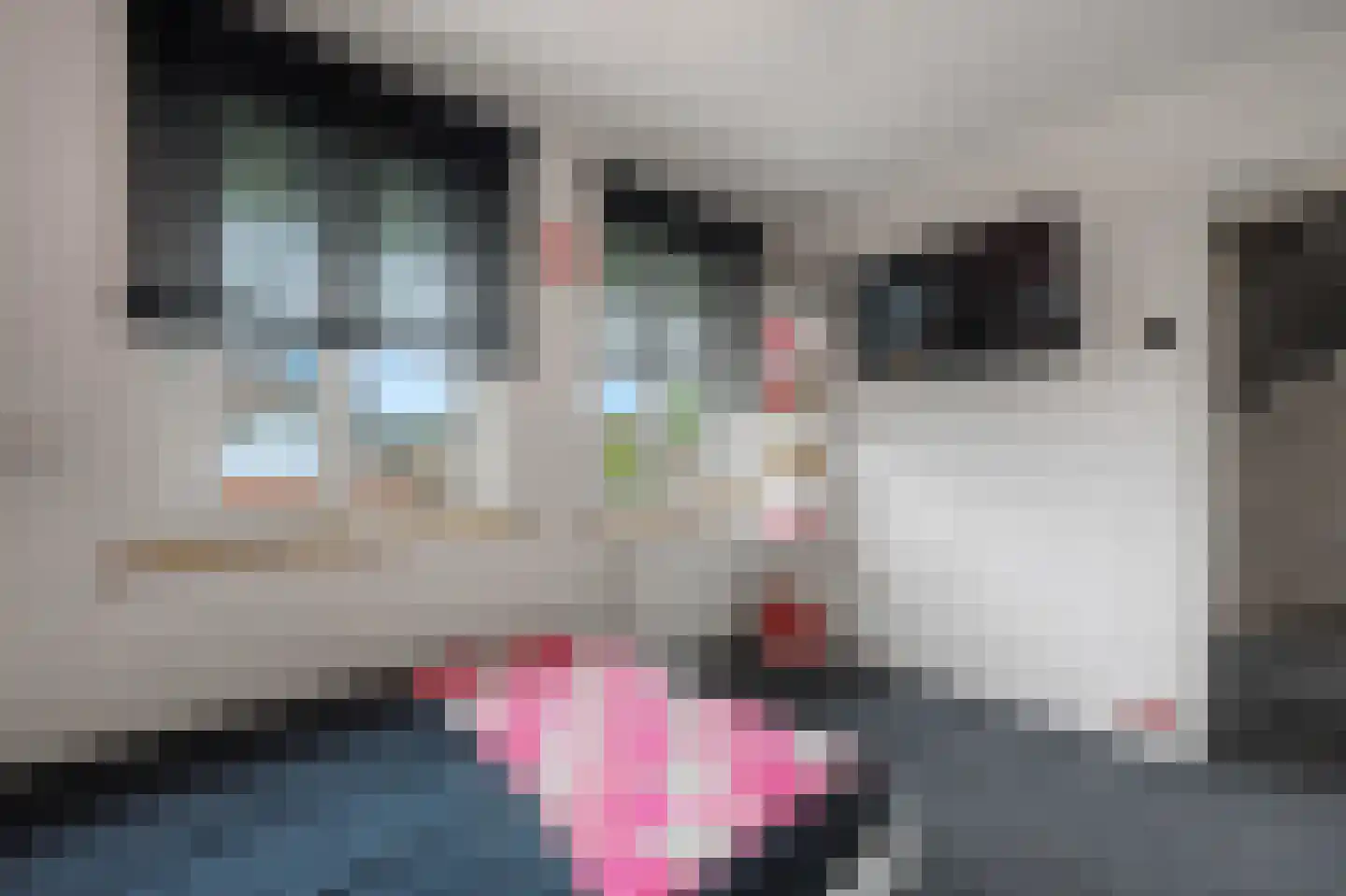 Hertenlaan 6 Hoeven thumbnail 33