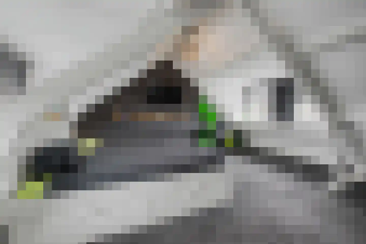 Hertenlaan 6 Hoeven thumbnail 35