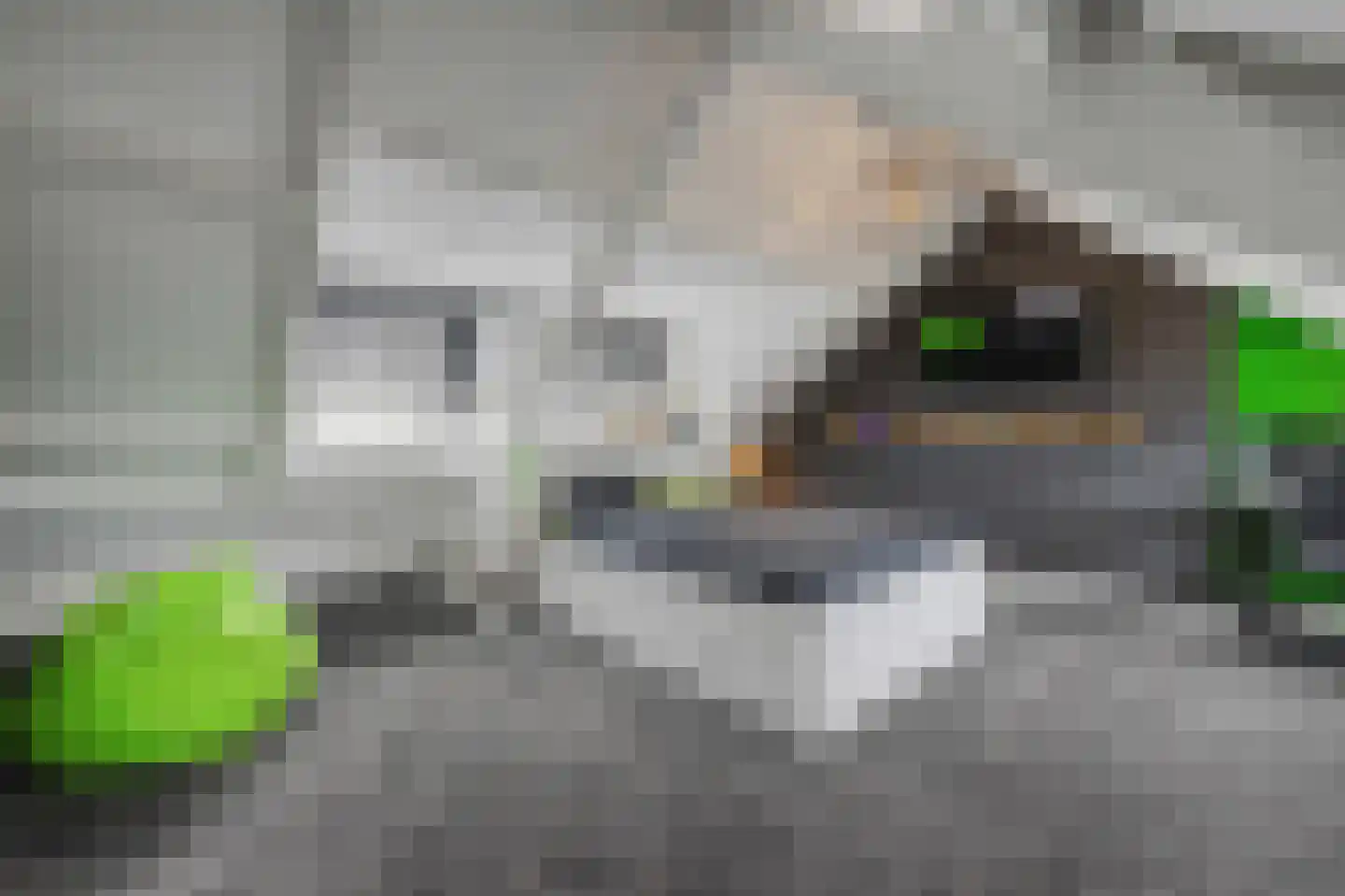Hertenlaan 6 Hoeven thumbnail 36