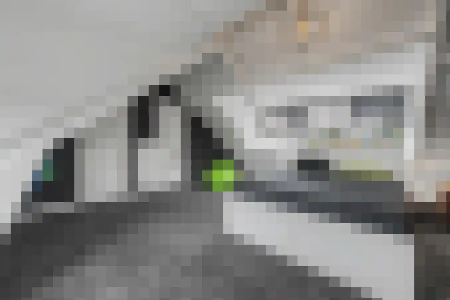 Hertenlaan 6 Hoeven thumbnail 37