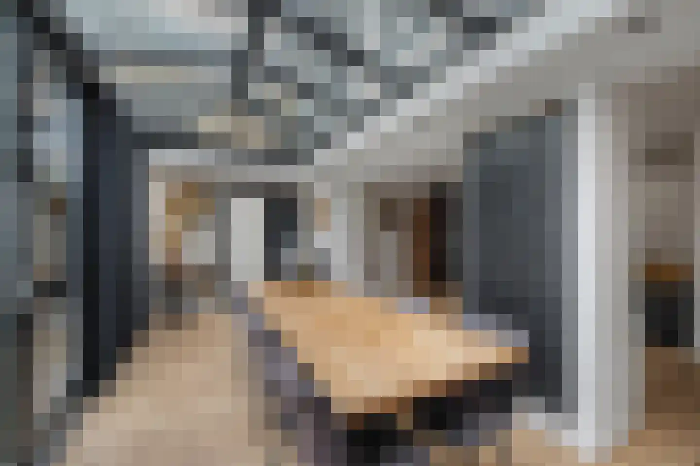 Hertenlaan 6 Hoeven thumbnail 5