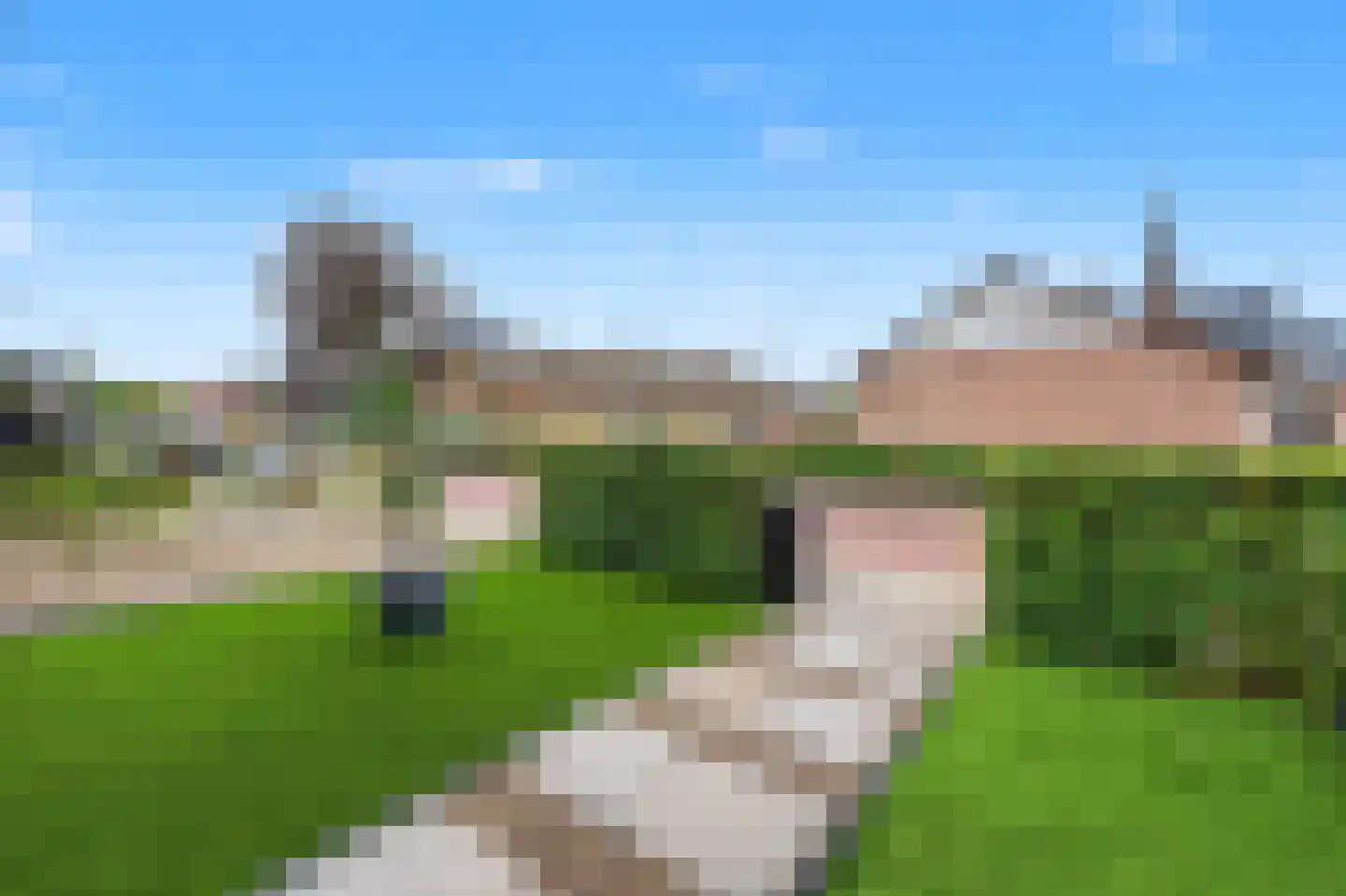 Hertenlaan 6 Hoeven thumbnail 8