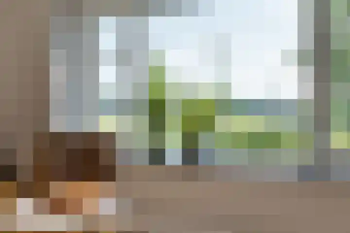 Hertenlaan 72 Assen thumbnail 13