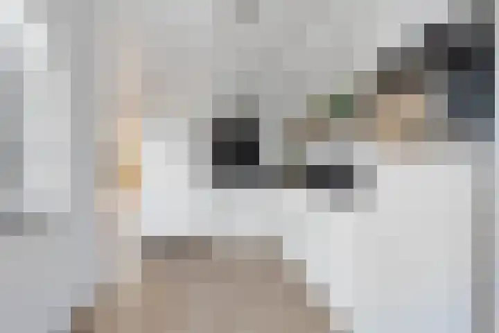 Hertenlaan 72 Assen thumbnail 16