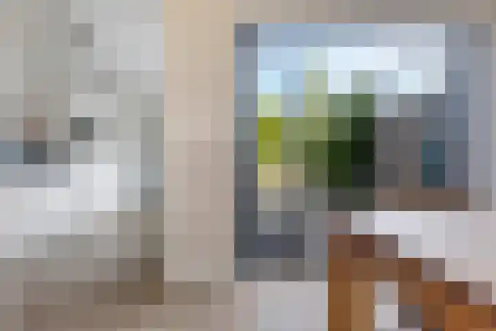 Hertenlaan 72 Assen thumbnail 18
