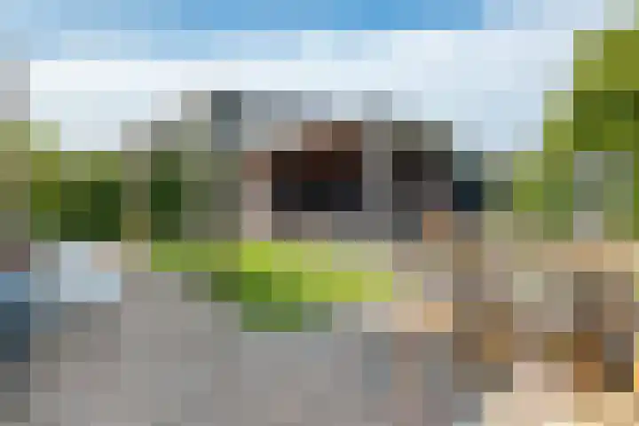 Hertenlaan 72 Assen thumbnail 23