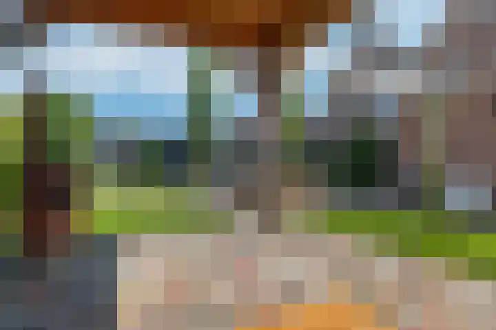 Hertenlaan 72 Assen thumbnail 24
