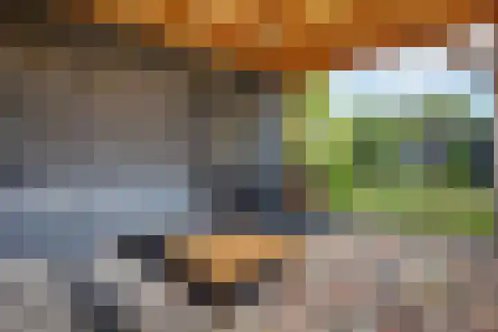Hertenlaan 72 Assen thumbnail 25