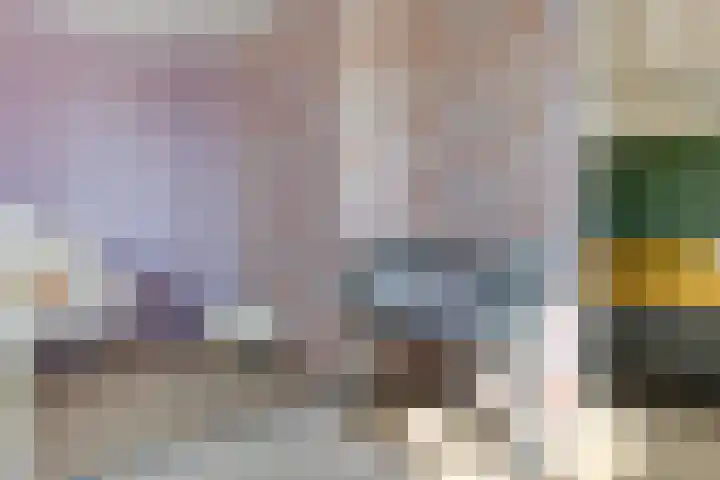 Hertenlaan 72 Assen thumbnail 32
