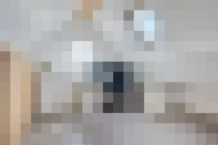 Hertenlaan 72 Assen thumbnail 41