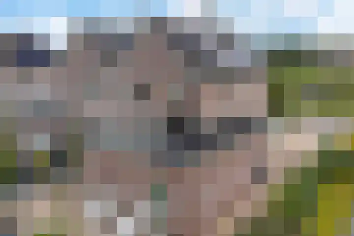 Hertenlaan 72 Assen thumbnail 43