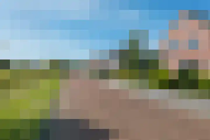 Hertenlaan 72 Assen thumbnail 47