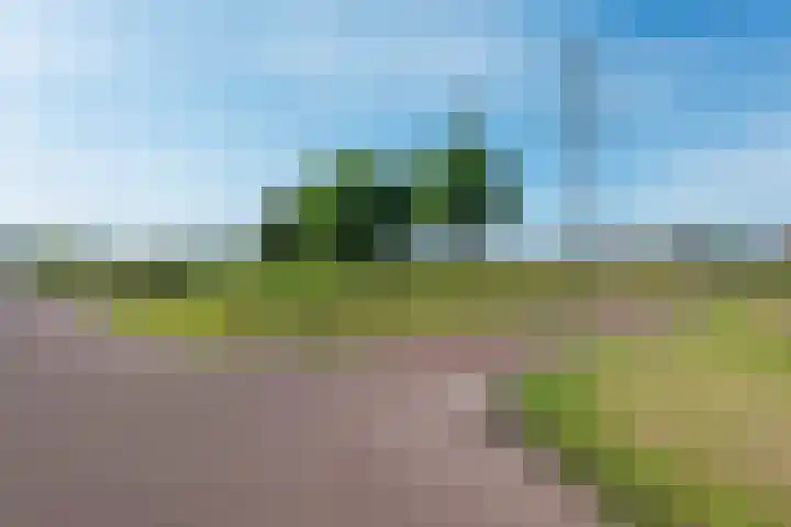 Hertenlaan 72 Assen thumbnail 48