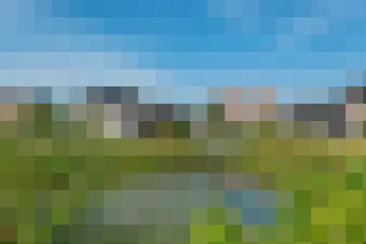 Hertenlaan 72 Assen thumbnail 50