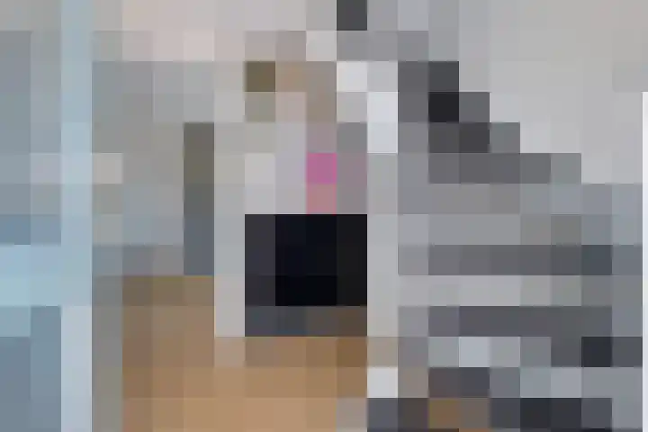 Hertenlaan 72 Assen thumbnail 7