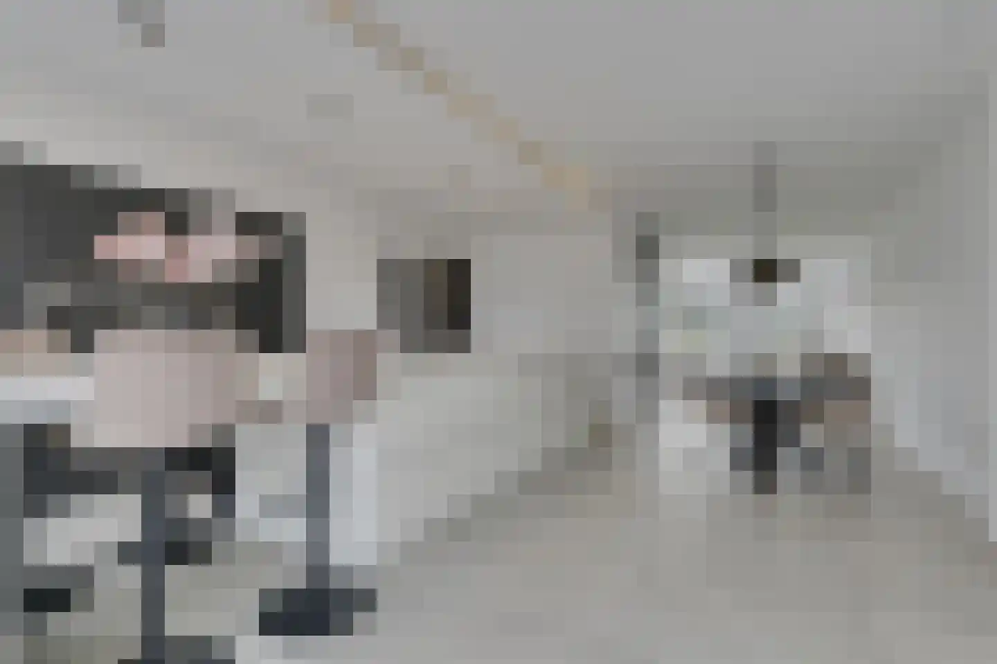 Hertenlaan 78 Assen thumbnail 16