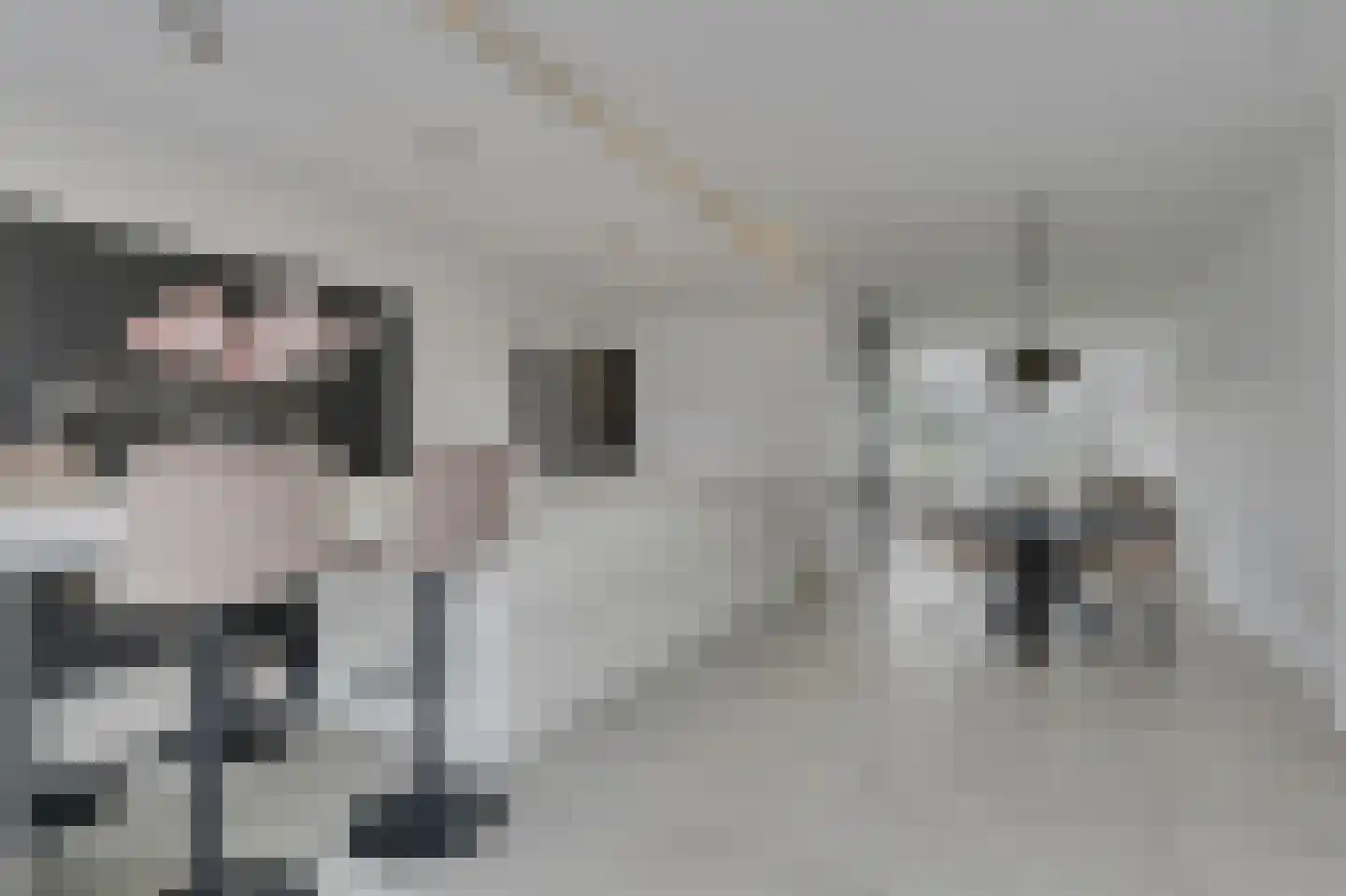Hertenlaan 78 Assen thumbnail 17