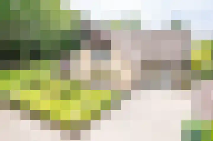 Hertenlaan 8 Silvolde