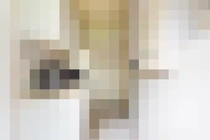 Hertenlaan 8 Silvolde thumbnail 15