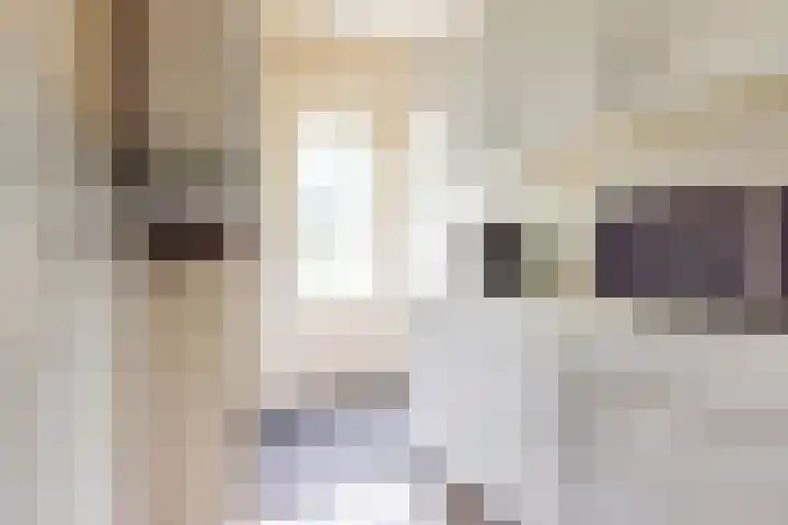 Hertenlaan 8 Silvolde thumbnail 16