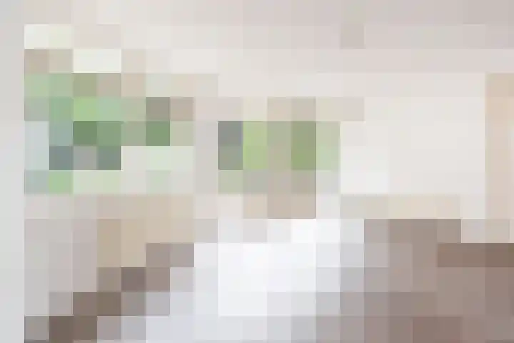 Hertenlaan 8 Silvolde thumbnail 34