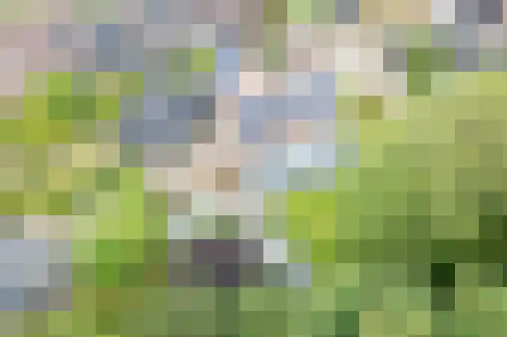Hertenlaan 8 Silvolde thumbnail 4