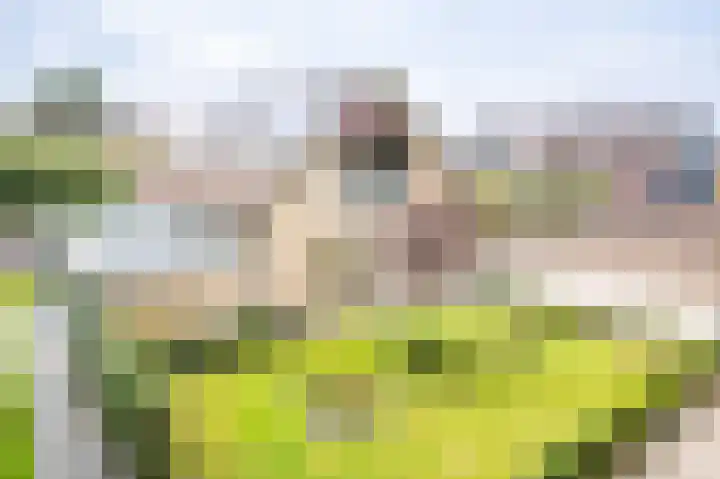 Hertenlaan 8 Silvolde thumbnail 5