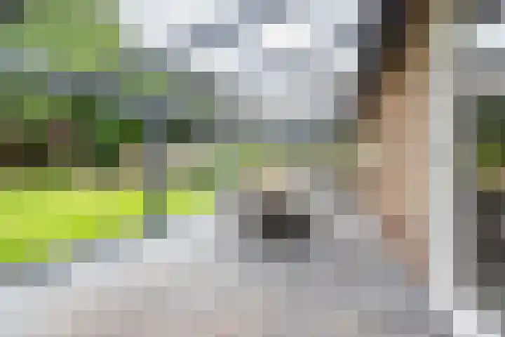 Hertenlaan 8 Silvolde thumbnail 53