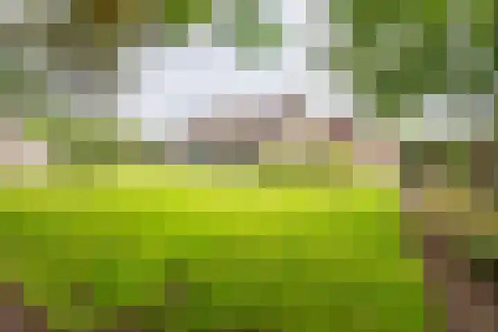 Hertenlaan 8 Silvolde thumbnail 55