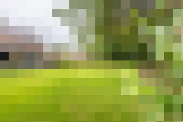 Hertenlaan 8 Silvolde thumbnail 56