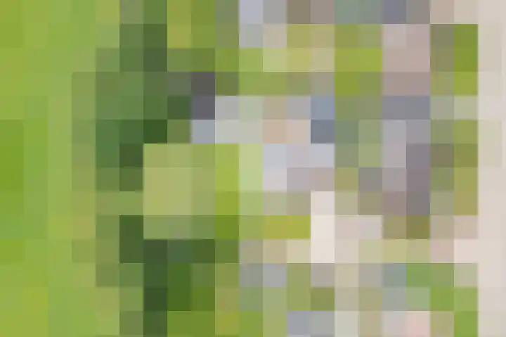 Hertenlaan 8 Silvolde thumbnail 57