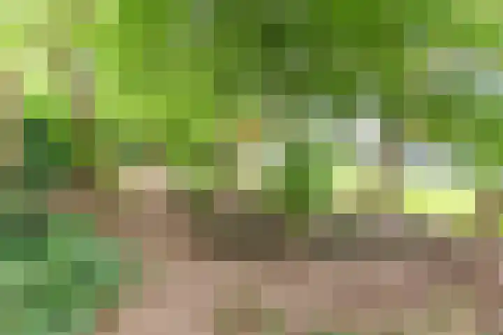 Hertenlaan 8 Silvolde thumbnail 58