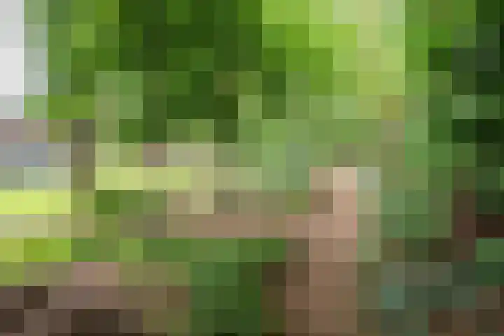 Hertenlaan 8 Silvolde thumbnail 59