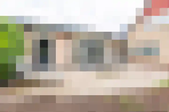 Hertenlaan 8 Silvolde thumbnail 62