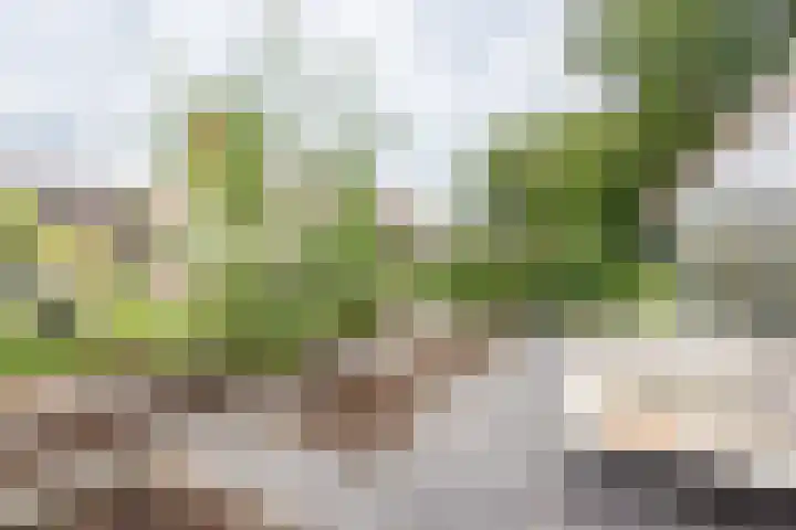 Hertenlaan 8 Silvolde thumbnail 63
