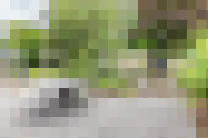 Hertenlaan 8 Silvolde thumbnail 64